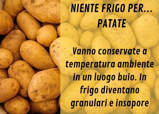 Canva Patate.jpg